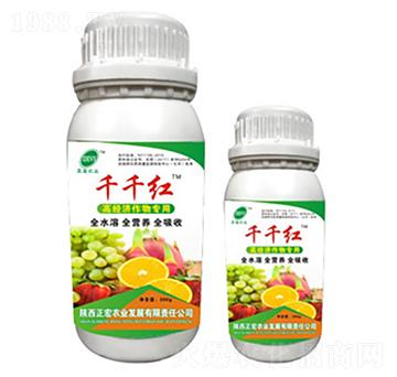 ��(j��ng)��(j��)�����-ǧǧ�t-�����r(n��ng)�I(y��)