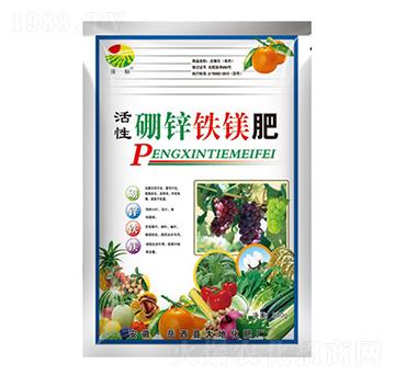 800g�������\�F�V��-���-��ػ���