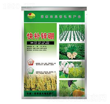 800g���a�\��-���-��ػ���