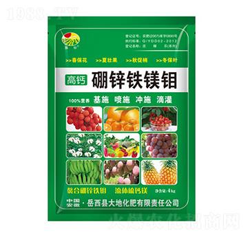 4kg���\�F�V�f-���-��ػ���