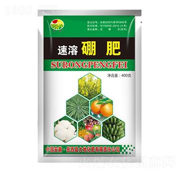 �������-���-��ػ���