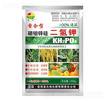 1250g���f�\������-���-��ػ���