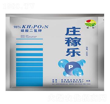 500g�f�Ҙ���������-���-��ػ���