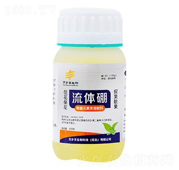 ���w��-�f(w��n)�l(xi��ng)�S����