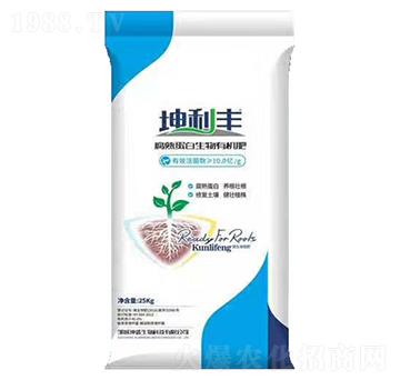 ���쵰�������ЙC(j��)��-�����S-��ʢ����