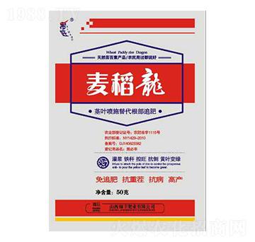 ������-�G�S�ʘI(y��)