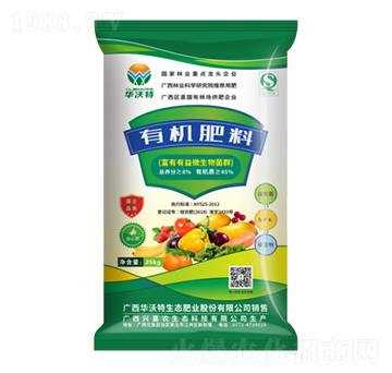 �ЙC(j��)����-�A����