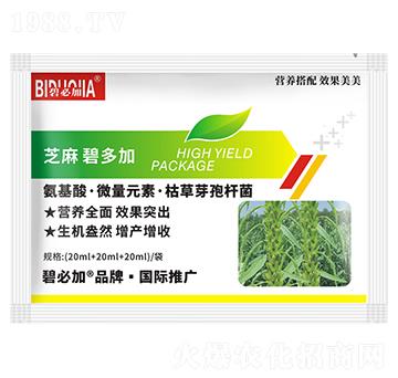 ֥��̶��-�κ�����