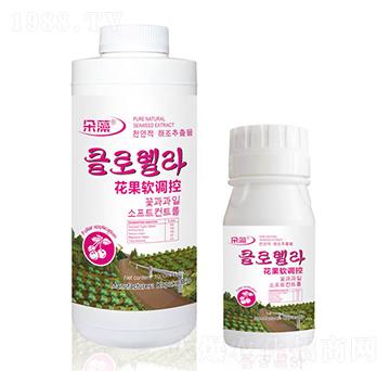 ����ܛ�{��-����-���Վ�����