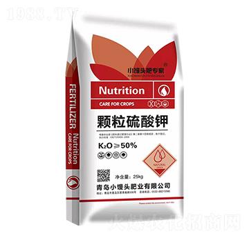 �w�������-С�z�^