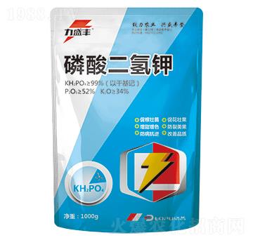 ��������-����