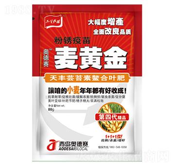 ���S�|̦�������~��-���S��-�t�f��