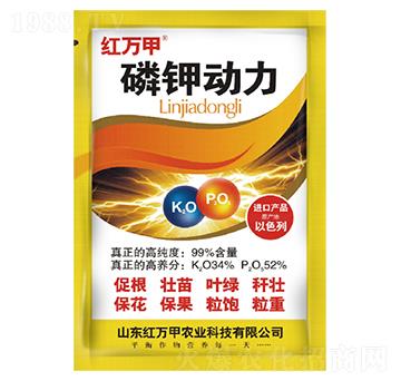 ��⛄�(d��ng)��-�t�f��