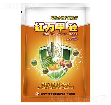 ��Чȫ�����w���͹�-�t�f��