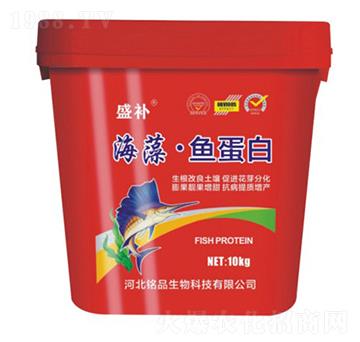 ���塤�~����-ʢ�a(b��)-�Ʒ����