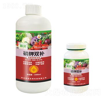 ����p�a-Ɲ��-�Ʒ����