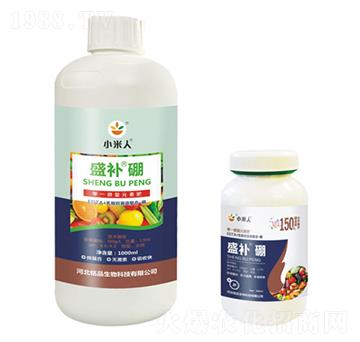 ƿ�bʢ�a(b��)��-С����-�Ʒ����