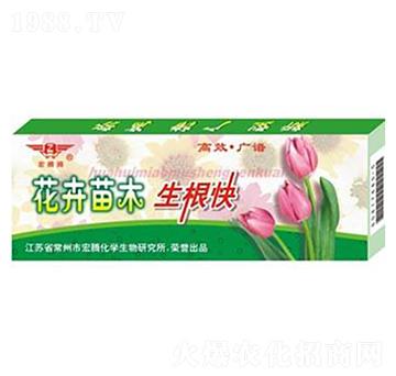 ������ľ������-���v����