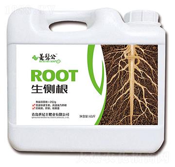 ����(c��)��-���׹�-���o(j��)�S