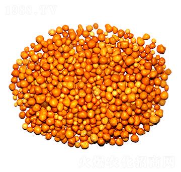 ����n�w����ጷ�15-