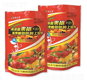 �����������ɫ������Ϟ