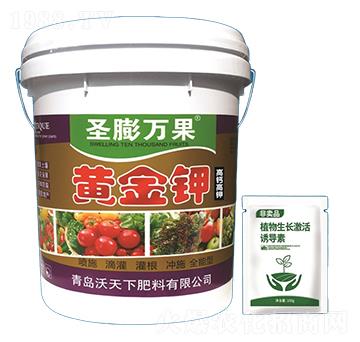 �S���-ʥ���f��-����