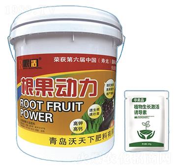 ������(d��ng)��-������