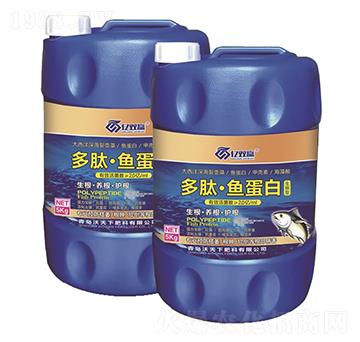 �����~����-�|�p�A-������