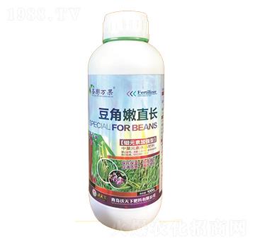 ������ֱ�L-ʥ���f��-������