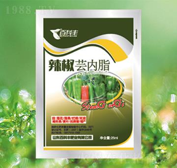 �����|��֬-�ٿ��S