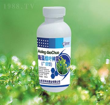 ����G�~��¶-�ٿ��S