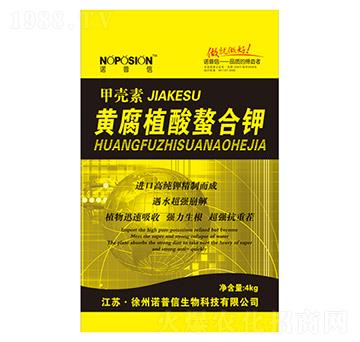 �S��ֲ�������-�Z����