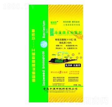 ̼ø�����������-�S�M��