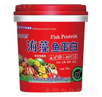 �����~���ס�΢�������-�n�h����