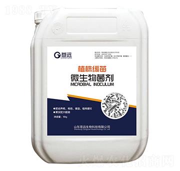 ֲ�꾏�硤΢�������-�n�h����