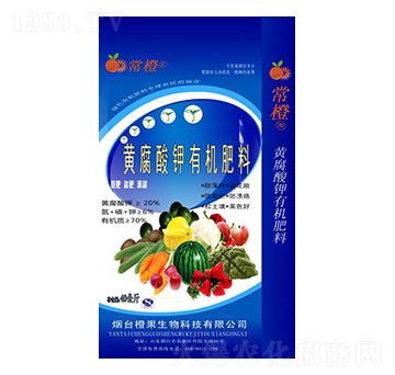 �S������ЙC(j��)����-����-�ȹ�����