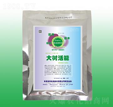 ���(sh��)����-�����l(f��)���(sh��)������-��������