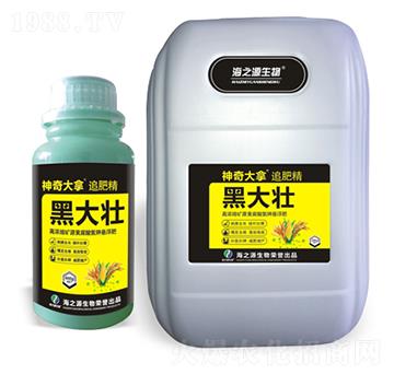 �ڴ��-�������-ͨ�û���