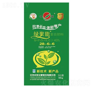 �ͺϷ���28-6-6-�G����-�Ж|����