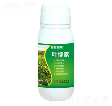 �~�G��-�ʰ�ʢ��-��ɭ��