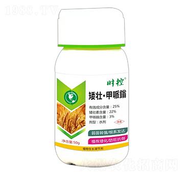 ���ѡ�������-�r��-��ɭ��