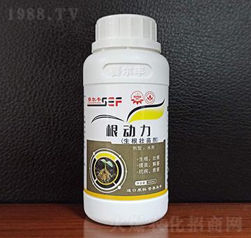 �������焩-������-ِ���S