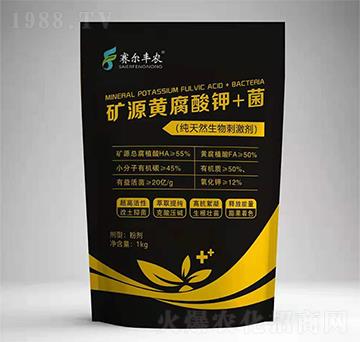 �VԴ�S�����+��-ِ���S