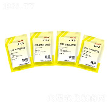 �ݲݡ�����ѿ�ߗU��-С�S��-�x���r(n��ng)��