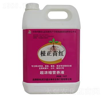 ����s�I(y��ng)�B(y��ng)Һ-������t-ʢ������