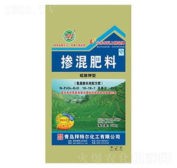 ������͓������19-