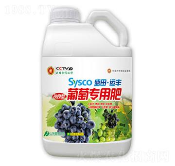 ʢ���\(y��n)�S���ь��÷�-ʢ