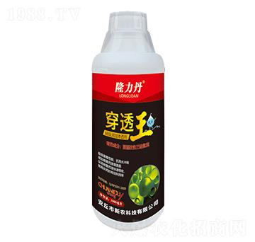 ����(j��)��(r��n)��B͸��-��͸��-���r(n��ng)