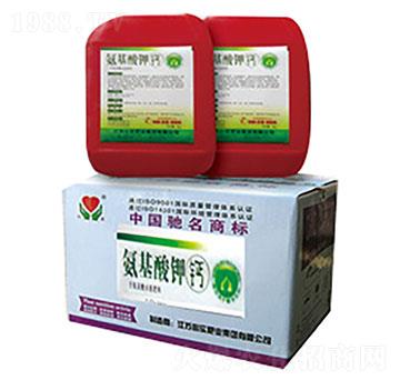 ��������}-�Č�(sh��)�ʘI(y��)