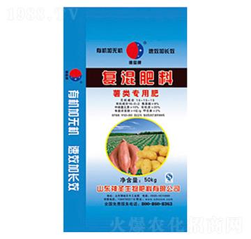 ����Ïͻ����-��ʥ����